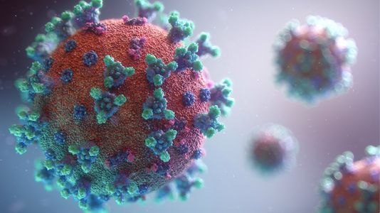 Covid-19 : nouveaux vaccins bivalents