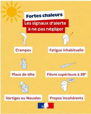Alerte canicule : soyez vigilant pour vous et pour vos proches